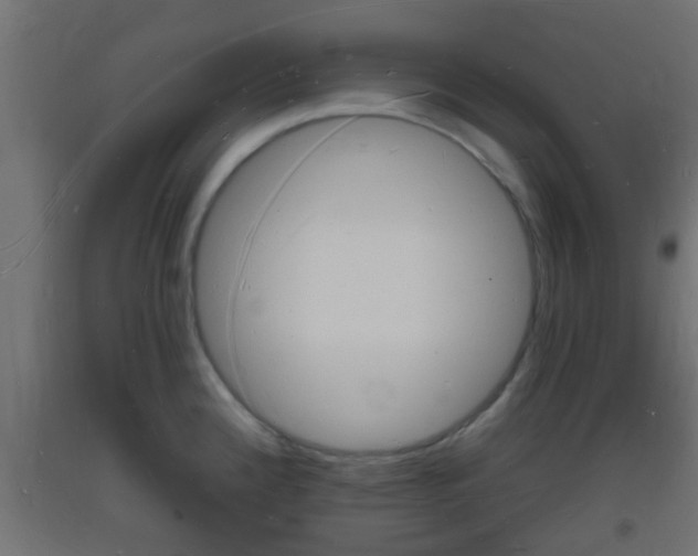 X0000093721192200710160743