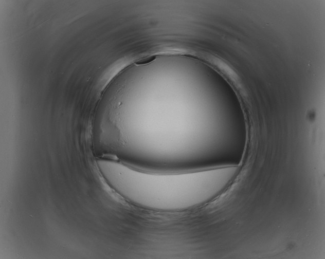 X0000093721193200710160743