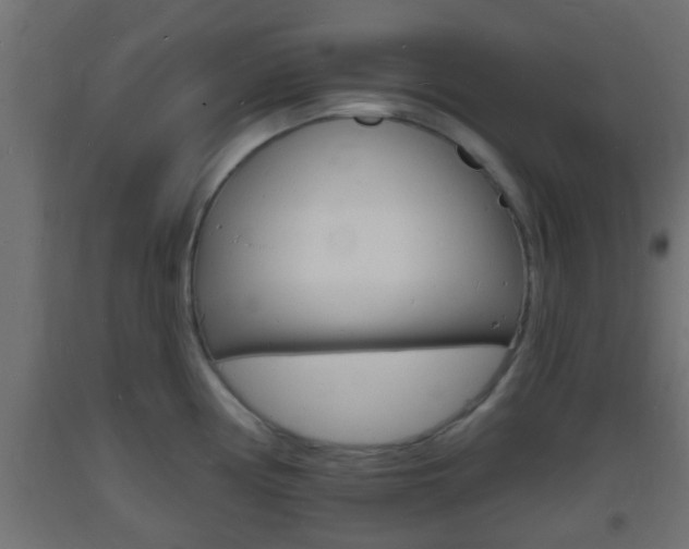 X0000093721194200710160743