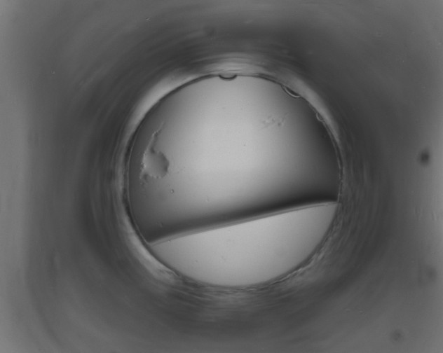 X0000093721195200710160743