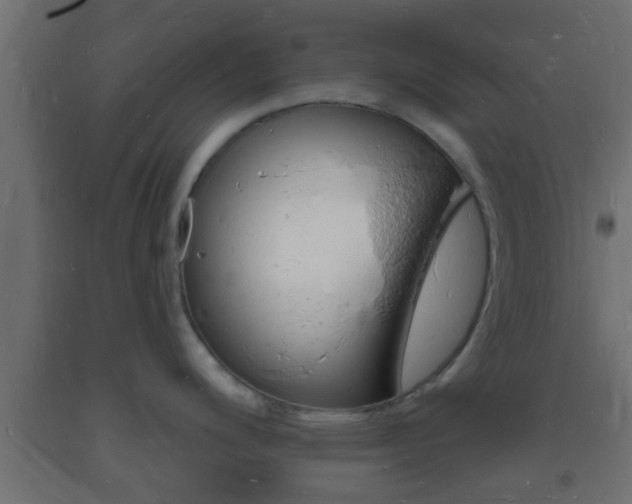 X0000093721200200710160743