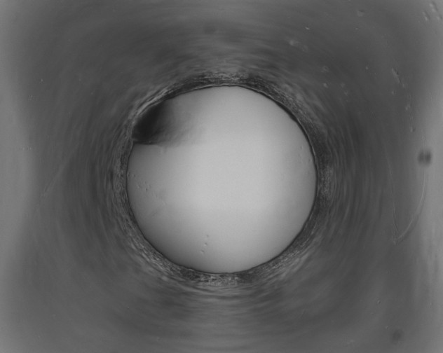 X0000093721201200710160743