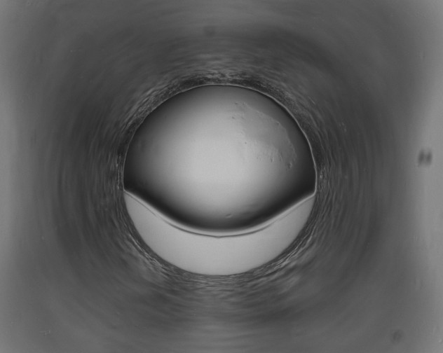 X0000093721202200710160743