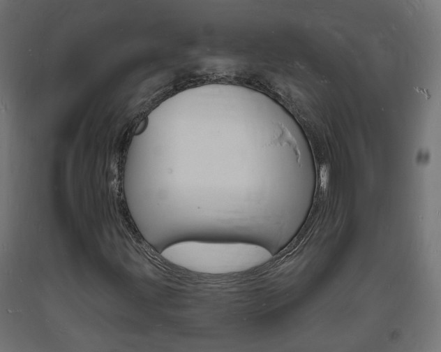 X0000093721203200710160743