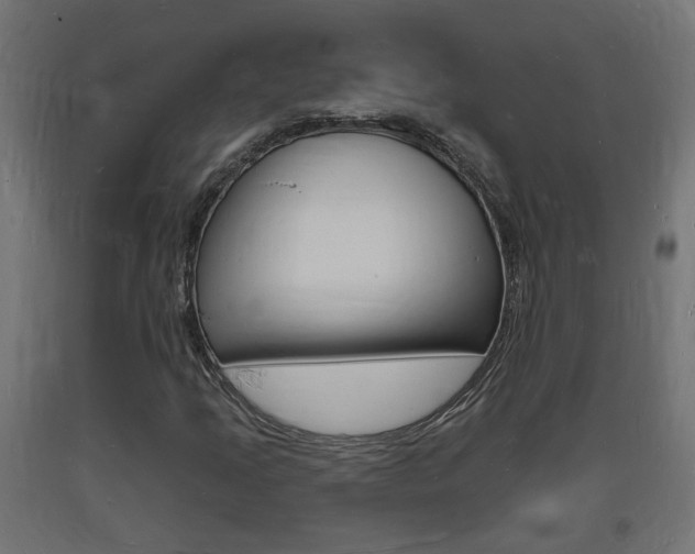 X0000093721205200710160743