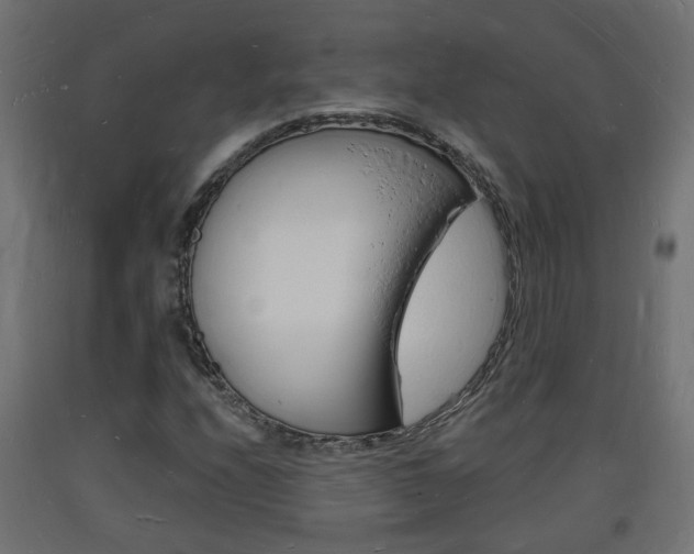 X0000093721208200710160743