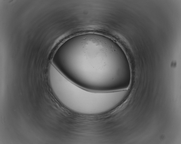 X0000093721210200710160743
