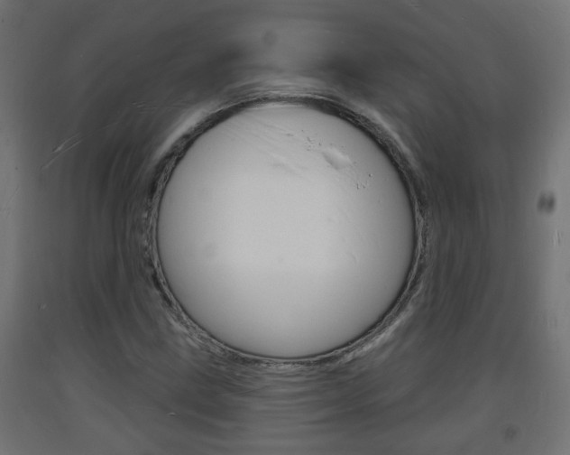 X0000093721211200710160743