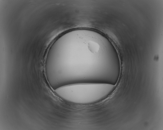 X0000093721212200710160743