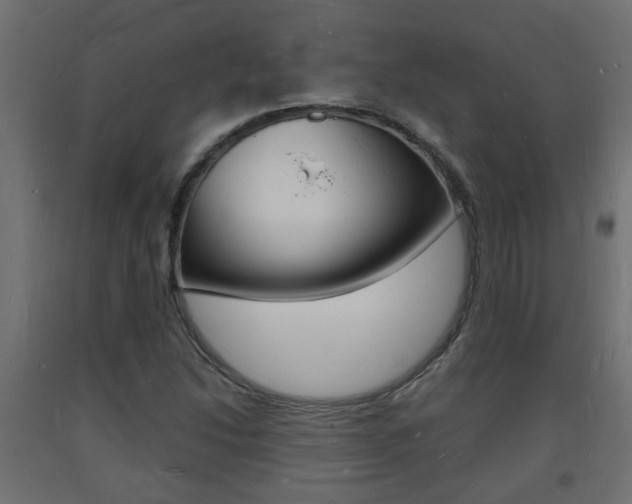 X0000093721214200710160743