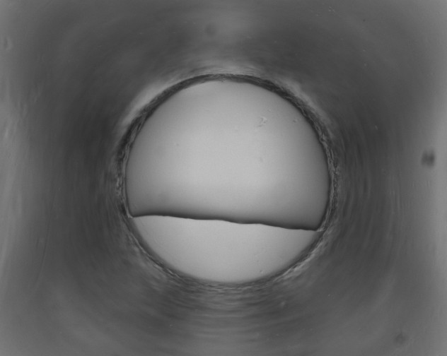 X0000093721215200710160743