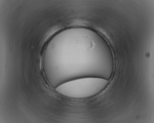 X0000093721219200710160743