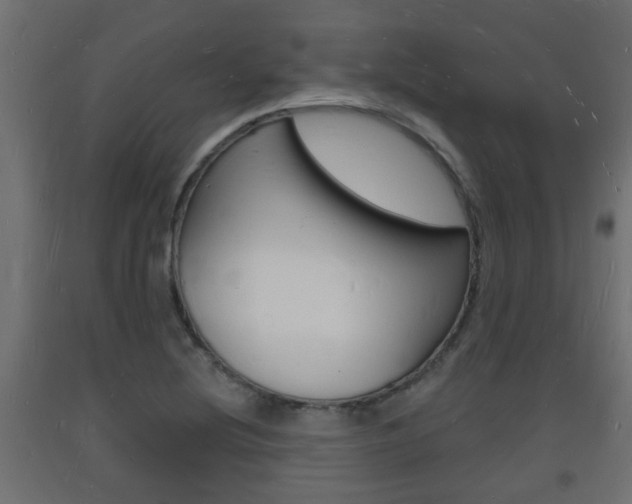 X0000093721220200710160743
