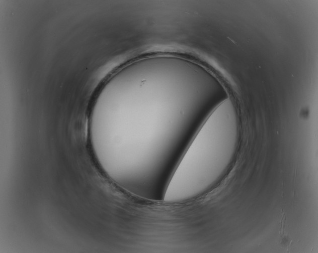 X0000093721221200710160743
