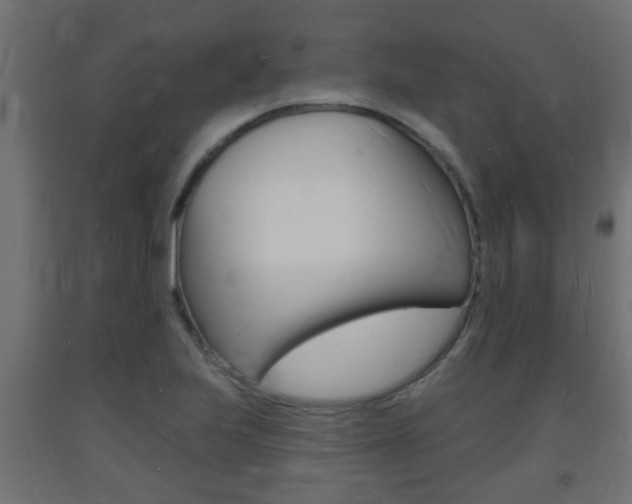 X0000093721223200710160743