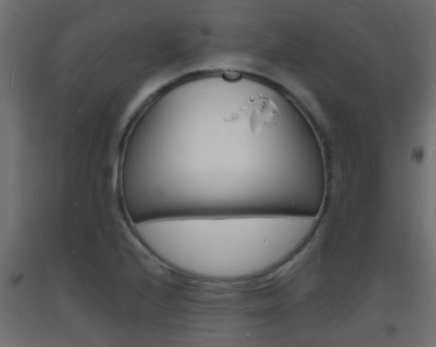 X0000093721224200710160743