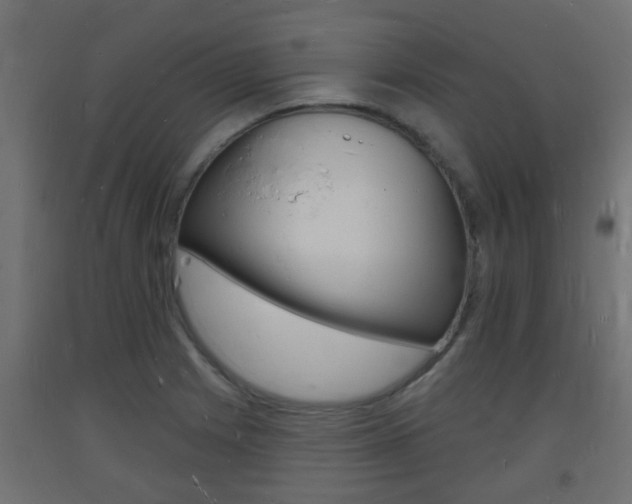 X0000093721225200710160743