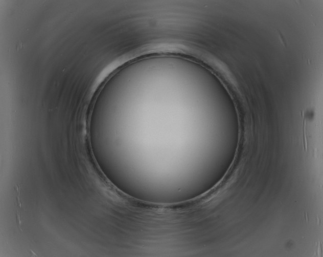 X0000093721226200710160743