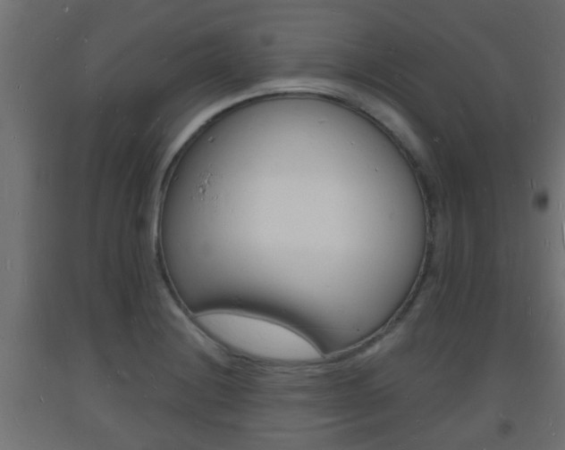 X0000093721228200710160743