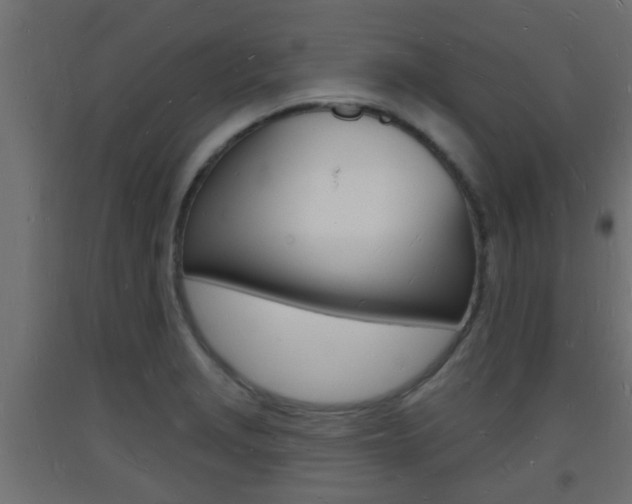 X0000093721229200710160743