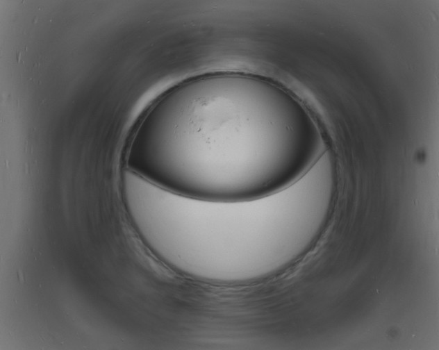 X0000093721230200710160743