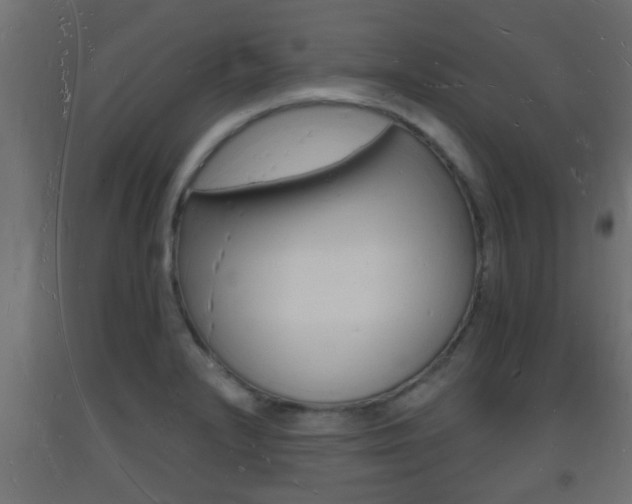 X0000093721232200710160743