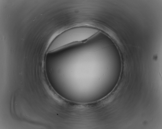 X0000093721234200710160743