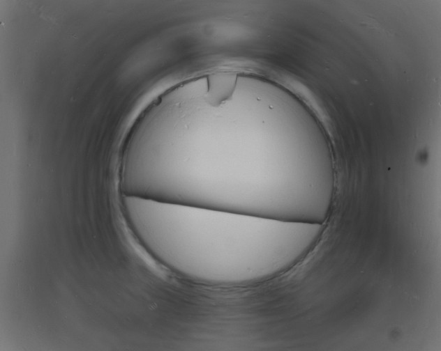 X0000093721235200710160743