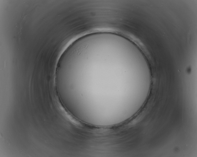 X0000093721236200710160743