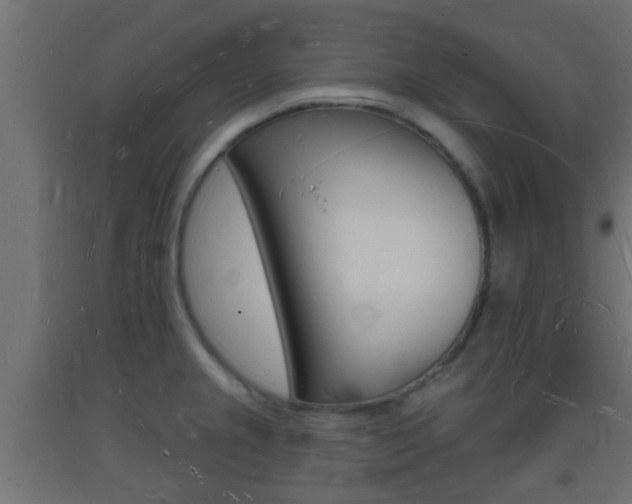 X0000093721237200710160743