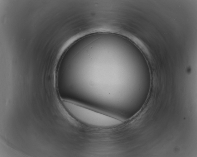 X0000093721238200710160743