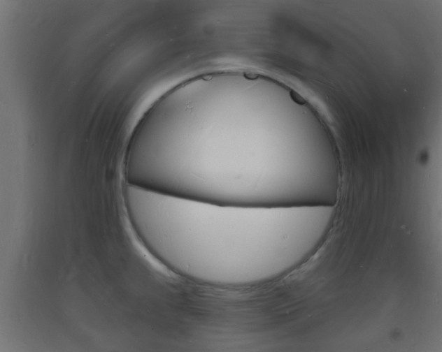 X0000093721239200710160743