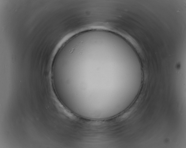 X0000093721240200710160743