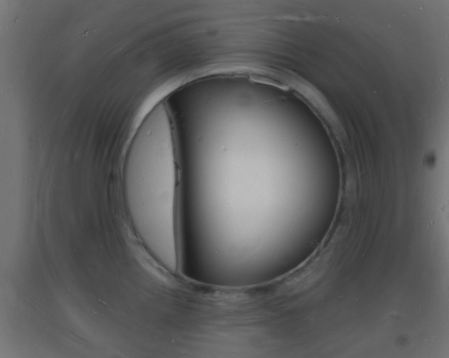X0000093721242200710160743