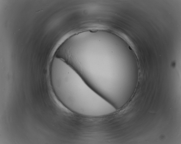 X0000093721243200710160743