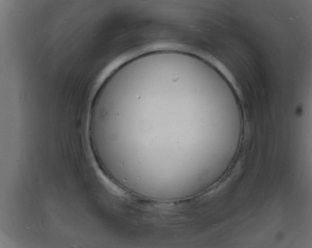 X0000093721245200710160743