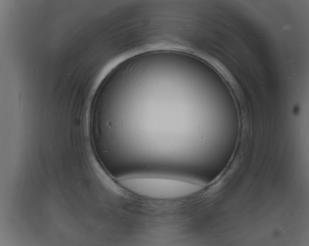 X0000093721246200710160743