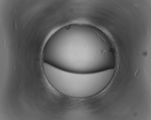 X0000093721248200710160743