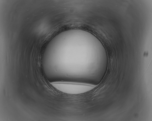 X0000093721250200710160743