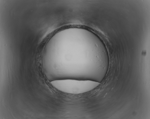 X0000093721255200710160743
