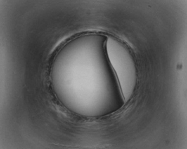 X0000093721256200710160743