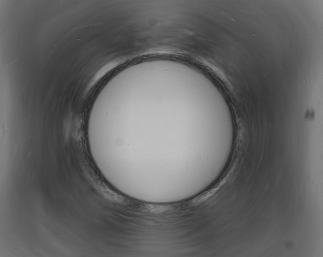 X0000093721258200710160743