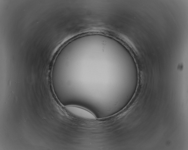 X0000093721260200710160743