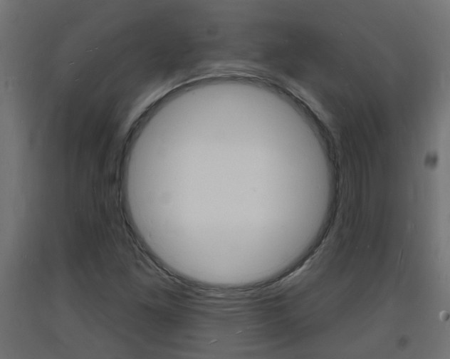 X0000093721261200710160742