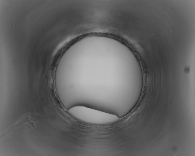 X0000093721262200710160742