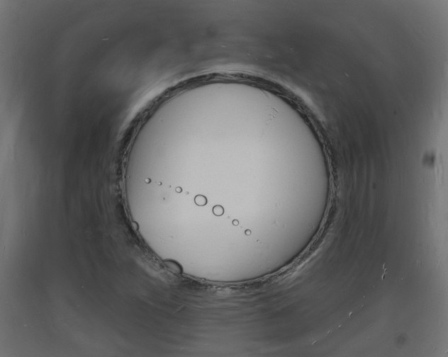 X0000093721263200710160742