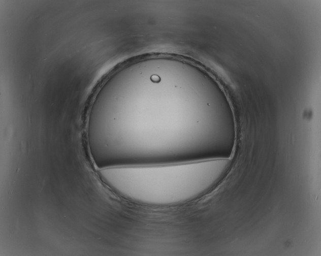 X0000093721264200710160742