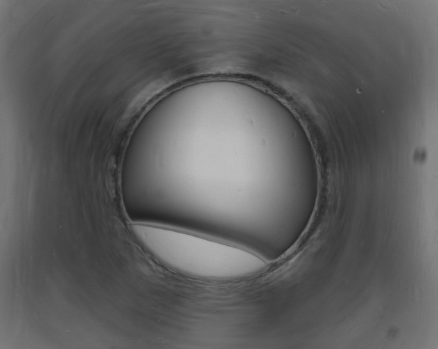 X0000093721265200710160742