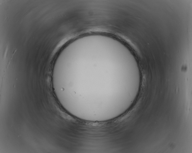 X0000093721266200710160742