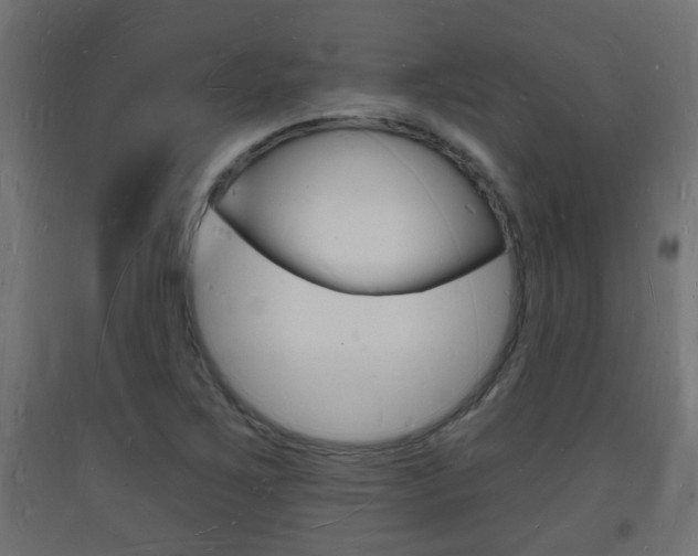 X0000093721267200710160742